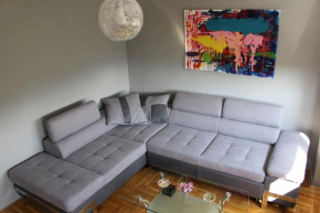 Comfortable apartment near the City Center